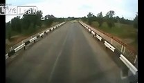 Goats get squashed by logging truck