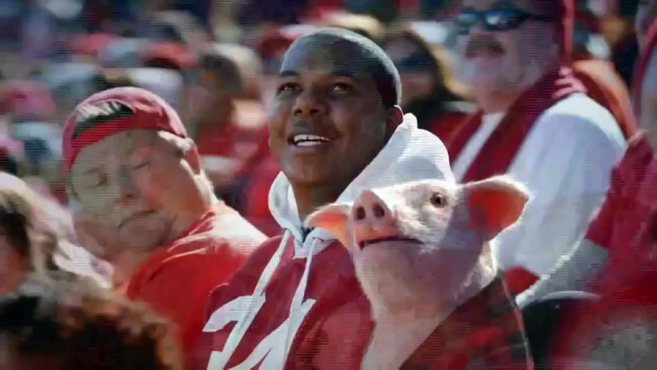 Top 13 The Best and Funny Geico Piggy TV Commercials in HD