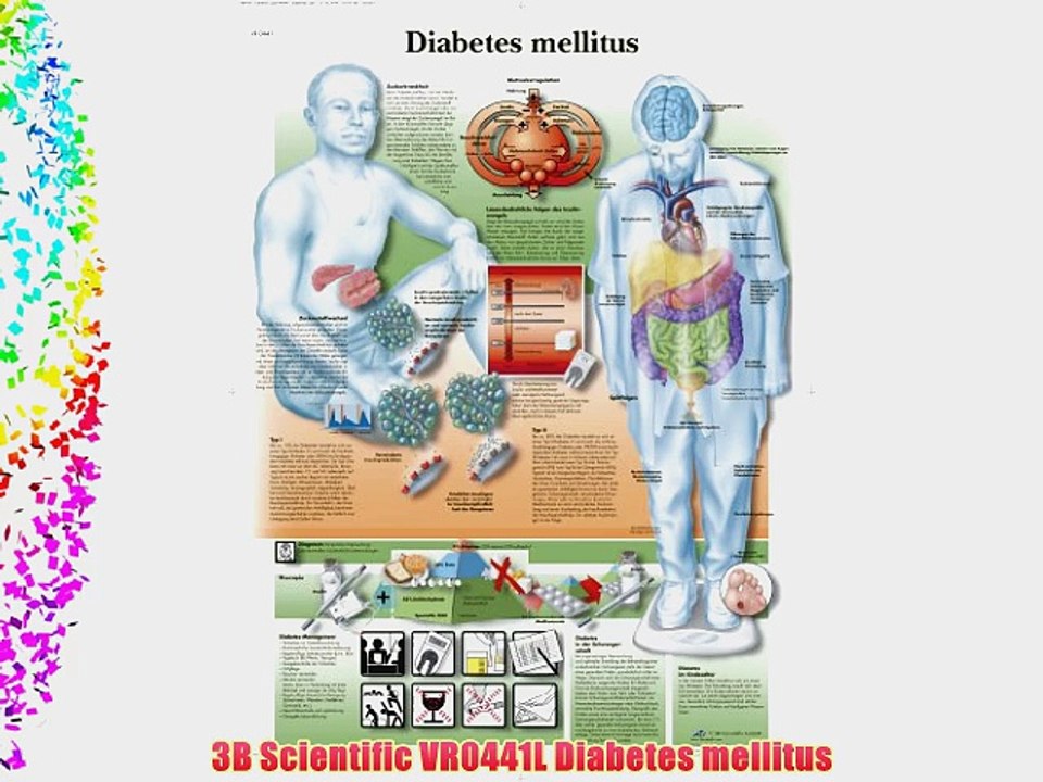 3B Scientific VR0441L Diabetes mellitus