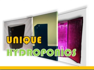 Soil free hydroponic grow boxes