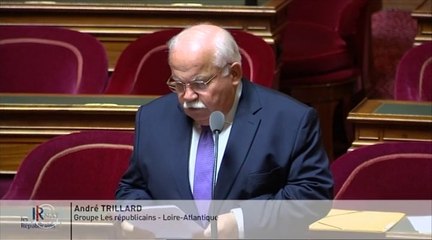 Maisons d'assistants maternels : " Il faut les soutenir financièrement et juridiquement ! "