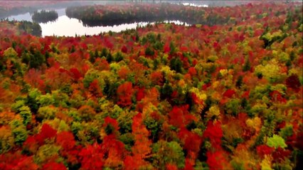 مناظر للطبيعة عالية الدقة مع صوت يبعث الطمأنينة