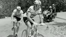 Cyclisme - TDF 2015 - C'est mon tour : 1975, Thévenet croque le Cannibale