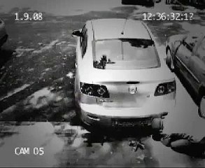 Bu hırsız cok zeki süper yaa