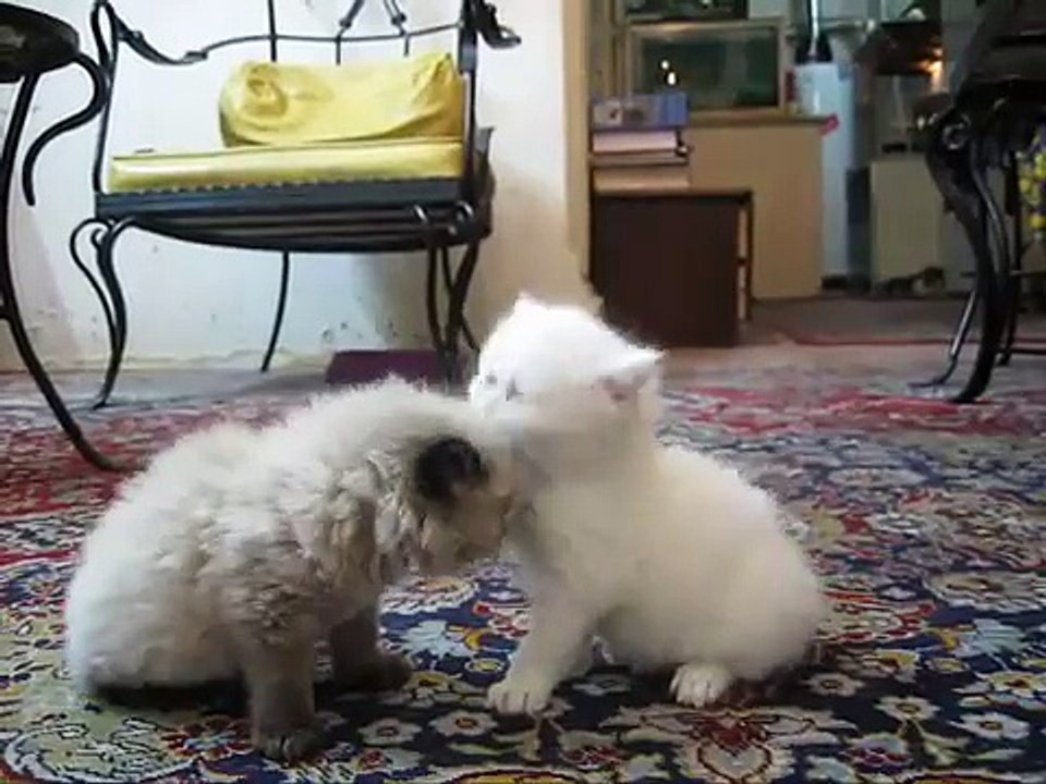 I licks my bro !!