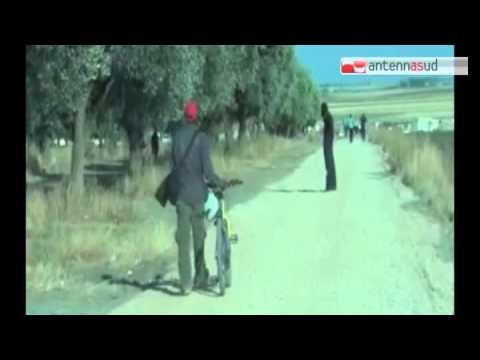 TG 21.07.15 Bracciante muore per caldo