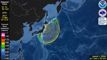 Tsunami Animation:  Tohoku, Japan 2011 (rotating globe)