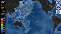 Tsunami Animation:  Tohoku, Japan 2011 (Mercator)