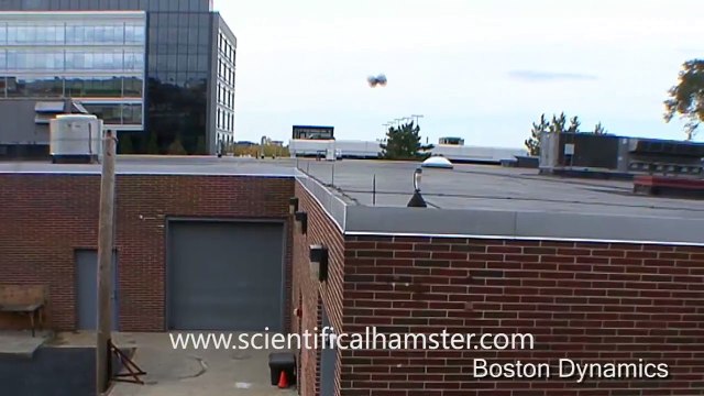 Sand Flea Jumping Robot