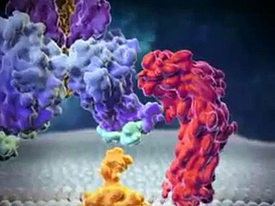 Sida définitions et mécanismes de la maladie infectieuse le Sida en vidéo santé 3D