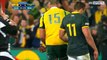 Résumé Wallabies vs Springboks - Rugby Championship