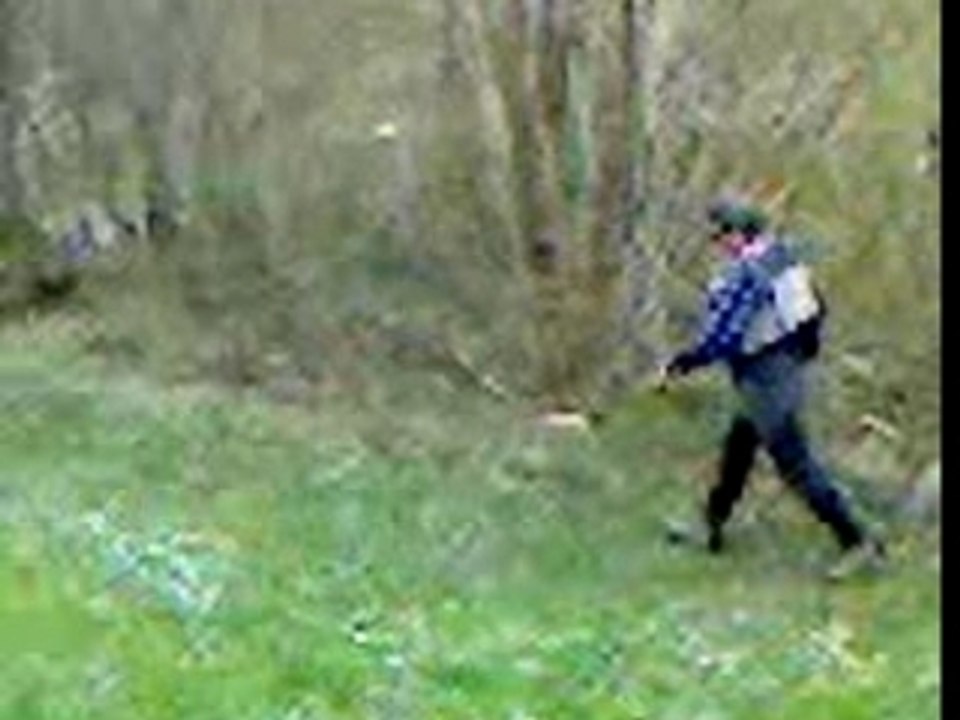 MOV00005