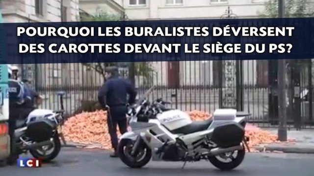 Pourquoi les buralistes déversent des carottes devant le siège du PS?