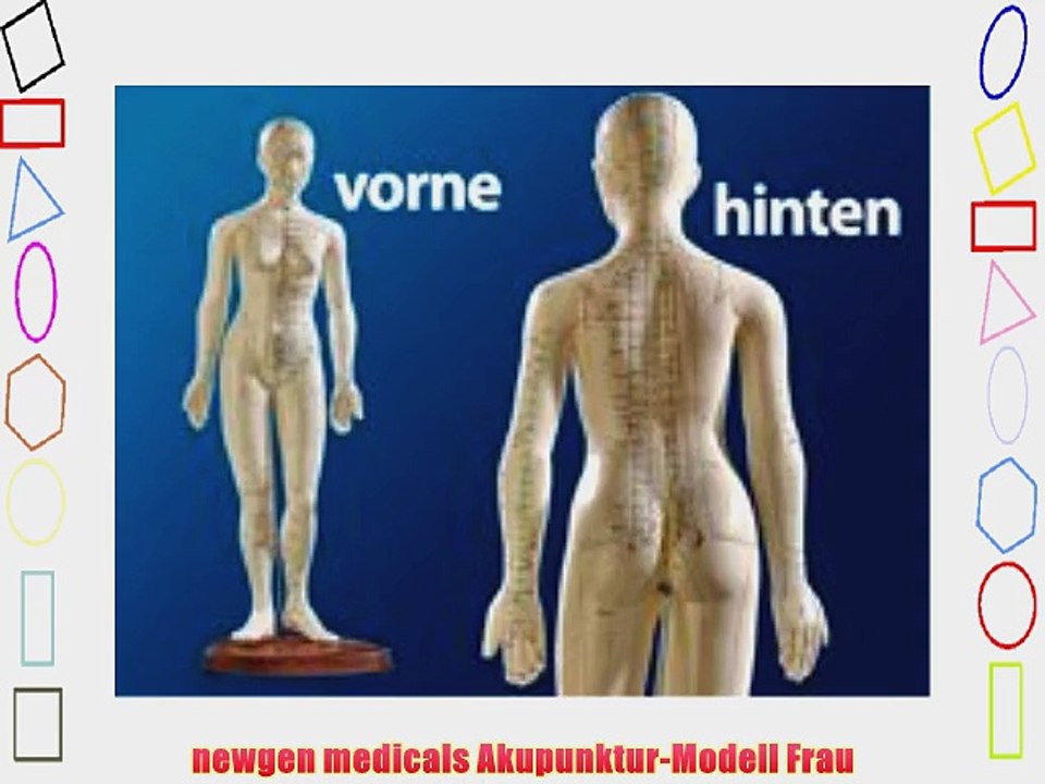 newgen medicals Akupunktur-Modell Frau