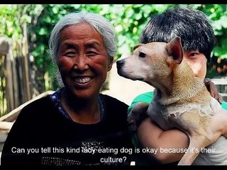 Stop the Yulin Dog Meat Festival taking place on 21st June 2014