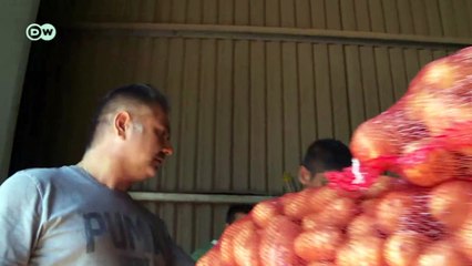 Greece - Agriculture at the brink of ruin | Made in Germany