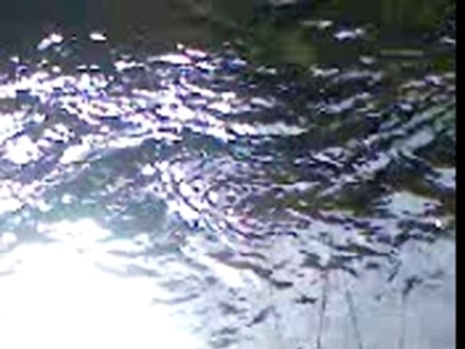 MOV00004