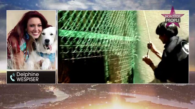 Delphine Wespiser refoulée de la présentation de 30 millions d’amis , elle accuse France Télévisions !