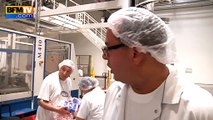 Dans les coulisses de la plus grande boulangerie industrielle de France