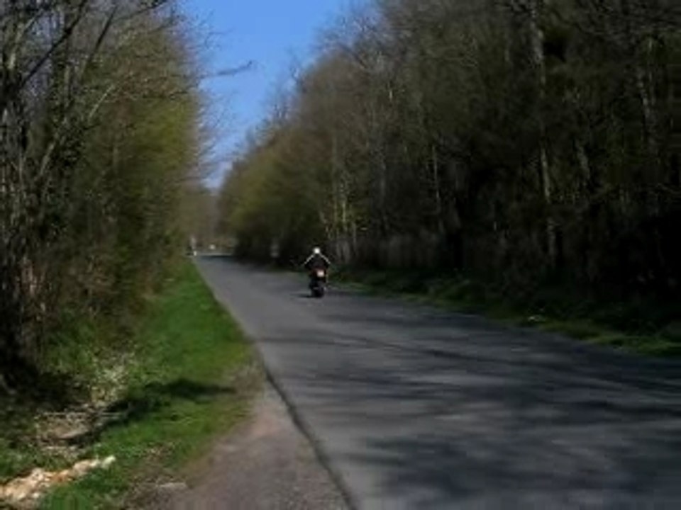 Zed-R 1