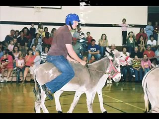 Save A Horse, Ride a Cowboy