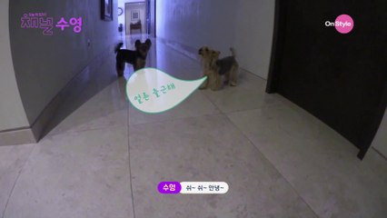 [1080p HD] Channel Sooyoung Preview - 수영의 오늘뭐입지? (Sooyoung's "What to wear today?")