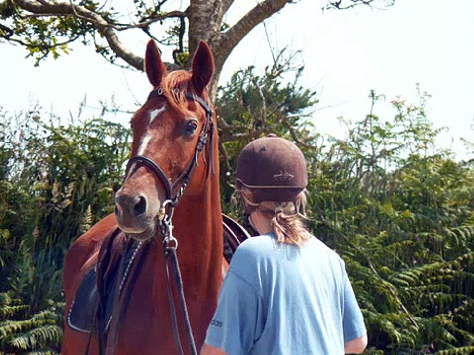 Musique médiévale - Fêtes Médiévales 20 et 21 juillet 2013