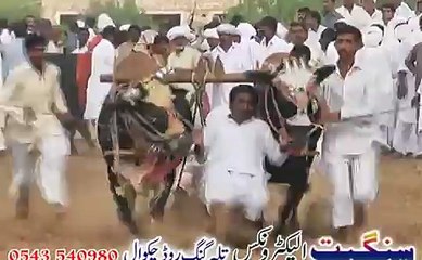 jalsa mureed chakwal aien muhammadi 2015 part 11