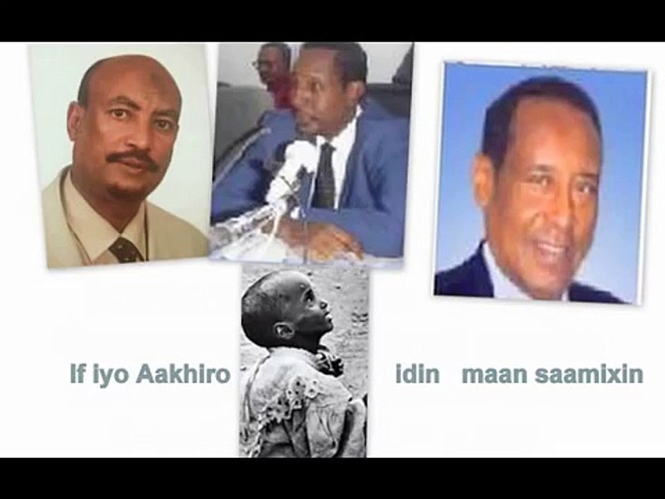 somaliland presidents salary