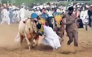jalsa saien muhammadi mureed chakwal 2015 part 12