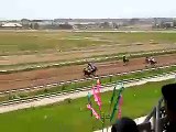 Turkmen Akhal-Teke horses race 3