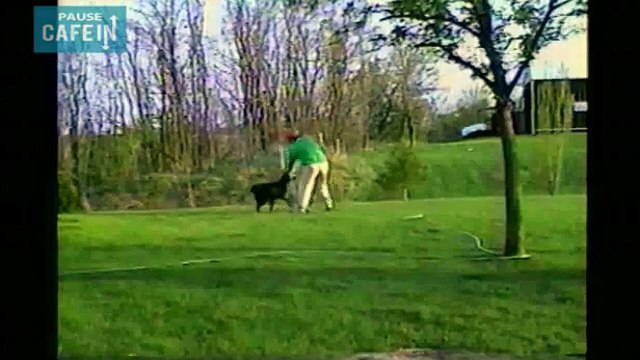 Ce chien fait boire la tasse à son maître pas très étanche