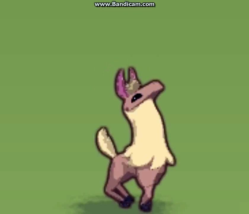 Llama song animal jam