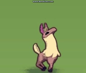 Llama song animal jam