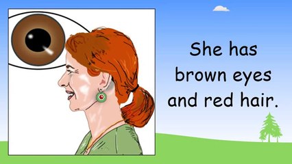 Beginner English Lessons - Activities