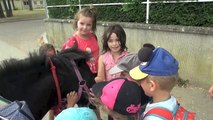 Le long voyage à pied de Heike et Nele poney shetland