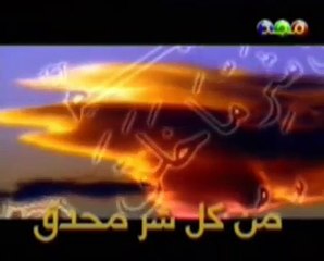 Popular Arabic Children's Songs 🎶