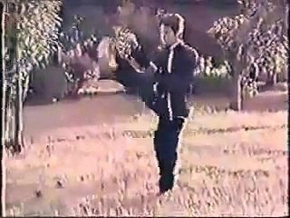 XingYi Quan 中国形意拳