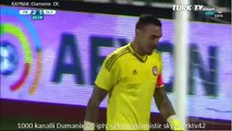 Fenerbahçe Olympiakos 3-2 Geniş Özet ve Goller 21-07-2015