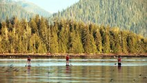 STAND - a SUP adventure through the Great Bear Rainforest