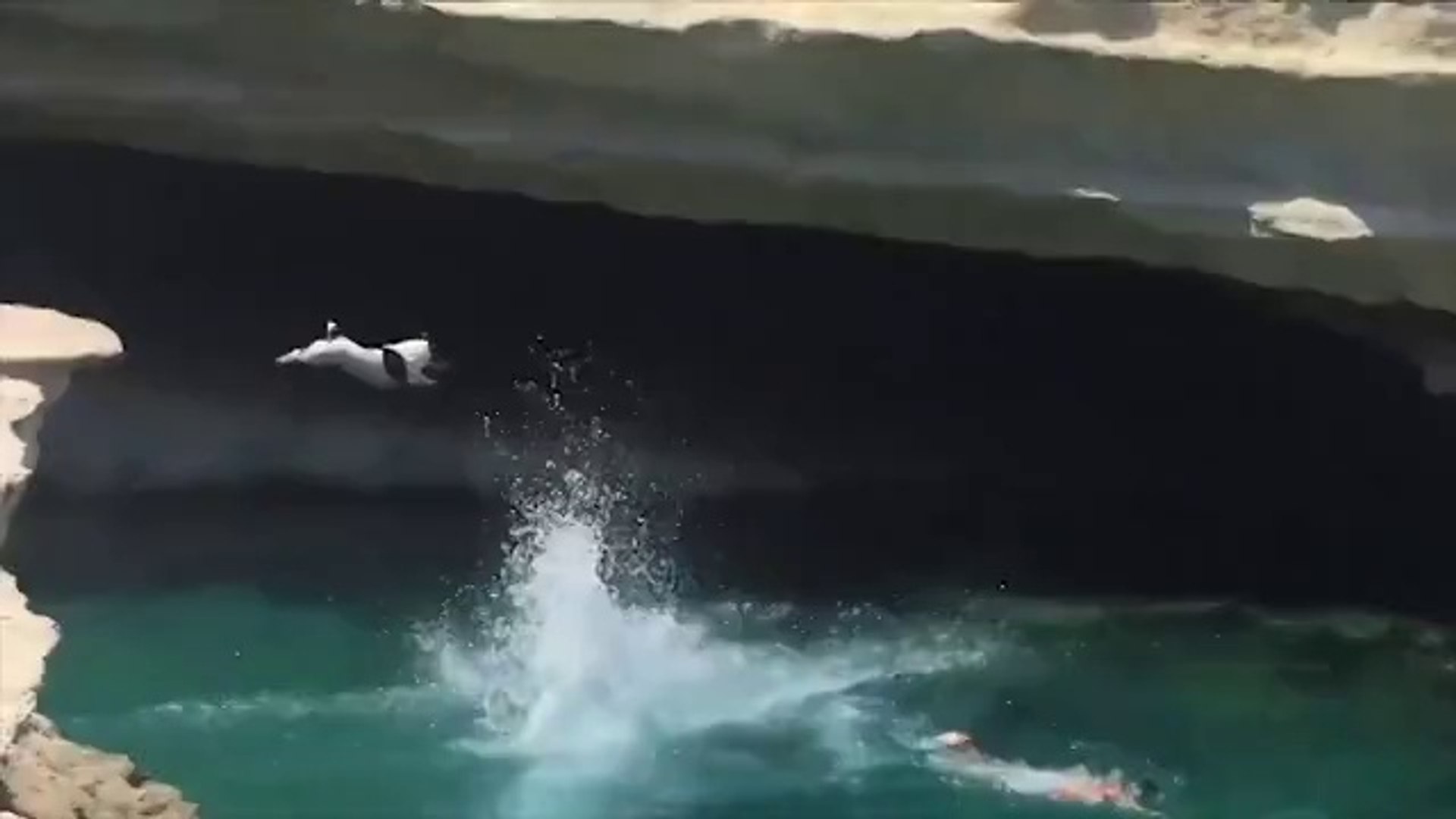 ⁣The Maltese Cliff Diving Champion Dog Jumps Off Cliff With Cliff Jumpers
