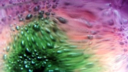 Low Barlow - Brace The Wave (Trailer)