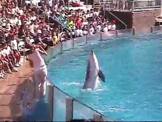 Sea World Splish Splash!!!