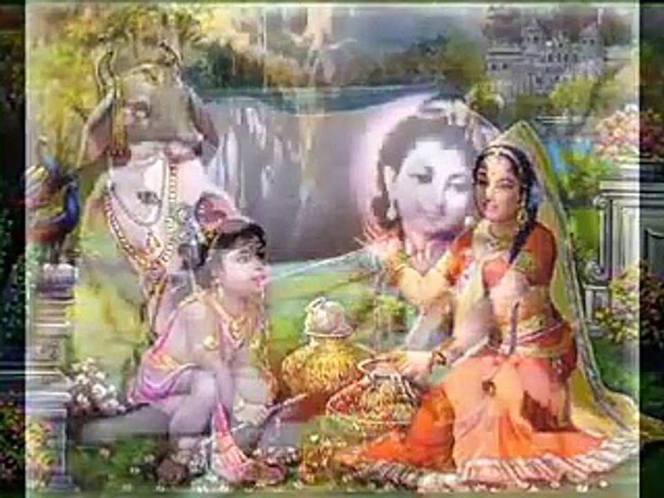 Sacred Cows in India