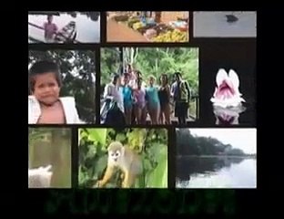 Fauna del Amazonas - Delfines
