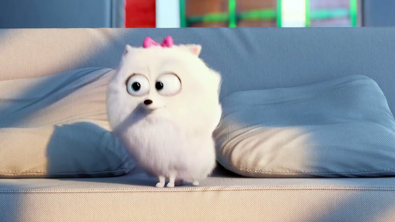 The Secret Life of Pets - Meet Max & Gidget - video Dailymotion