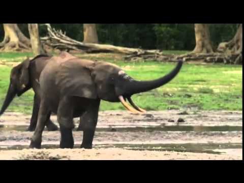 Campagna di comunicazione ''Turista consapevole''