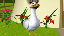 Five Little Ducks - 3D Animation - English Nursery rhymes - 3d Rhymes -  Kids Rhymes - Rhymes for childrens