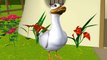 Five Little Ducks - 3D Animation - English Nursery rhymes - 3d Rhymes -  Kids Rhymes - Rhymes for childrens