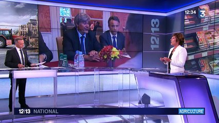 Où vont les marges qui s'appliquent aux produits de l'élevage ?